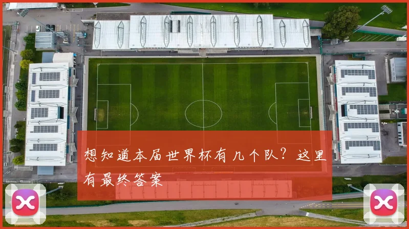 想知道本届世界杯有几个队？这里有最终答案